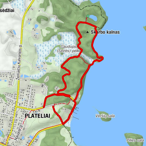 Platelių ežero apžvalgos aikštelė - Vaizdas į Platelių ežerą - Platelių šašlykinė - Plateliai