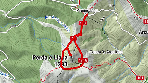 Pinningassu - Perda e Liana