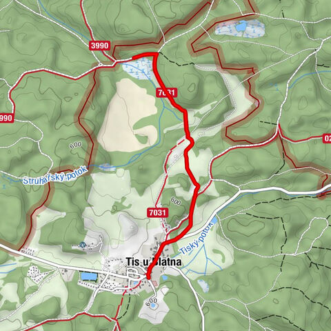 U Čapků - Povýšení sv. Kříže - Tis u Blatna