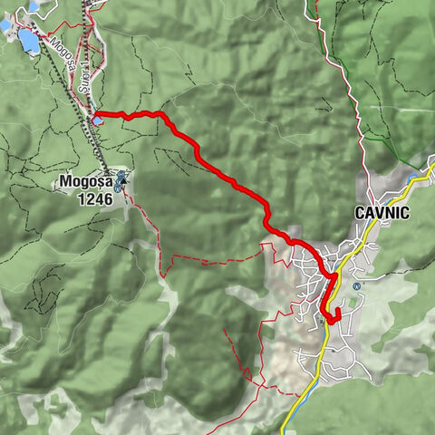Cavnic - Șuior Cota 1000