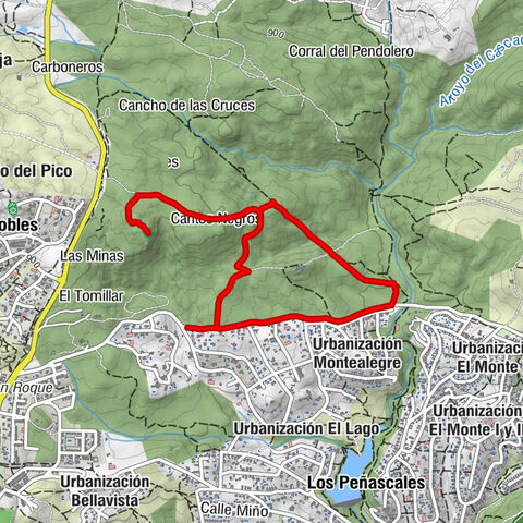 Torrelodones - Posición Lince