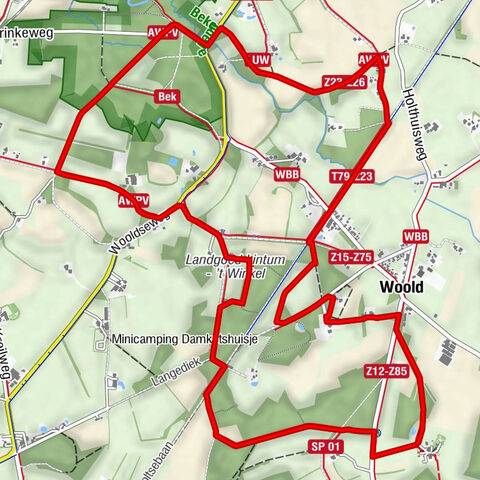 Winterswijk Woold - Woold