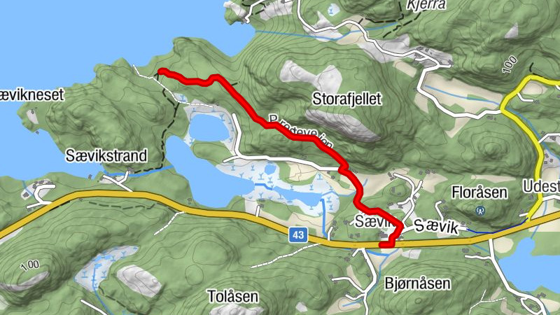 Sævik
