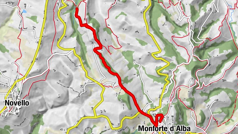 Monforte d'Alba - Barolo