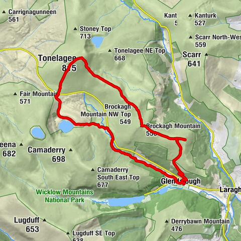 Glendalough - Tonelagee - Brockagh Mountain - Brockagh Mountain SE Top