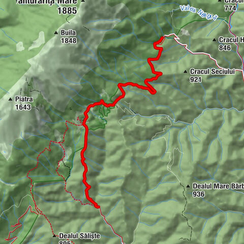 Izvor - Izvor Pahomie - Cascada Izvorul Frumos