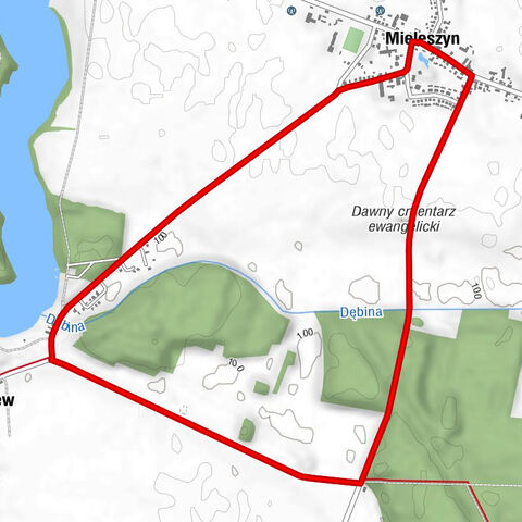 Mieleszyn - Borzątew - Figura Matki Boskiej - powiat gnieźnieński