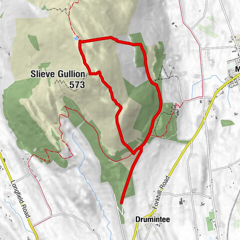 Slieve Gullion