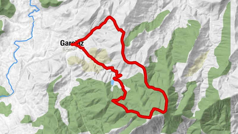 Garciaz