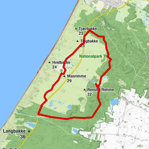 Thisted Kommune - Manrimme