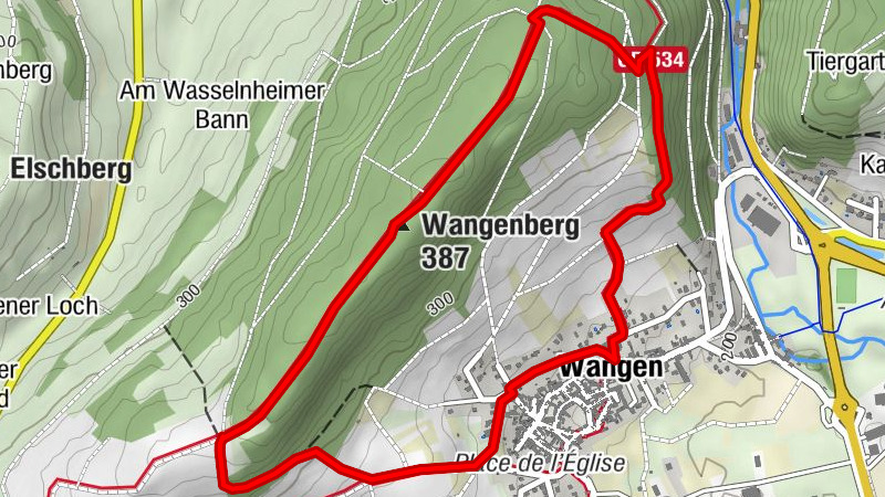 Wangenberg circuit