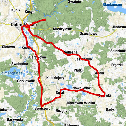Kościół pw. Świętej Faustyny Kowalskiej - Kościół pw. Najświętszego Zbawiciela i Wszystkich Świętych - Kaplica pw. Świętego Michała Archanioła - Kościół pw. Świętego Marcina