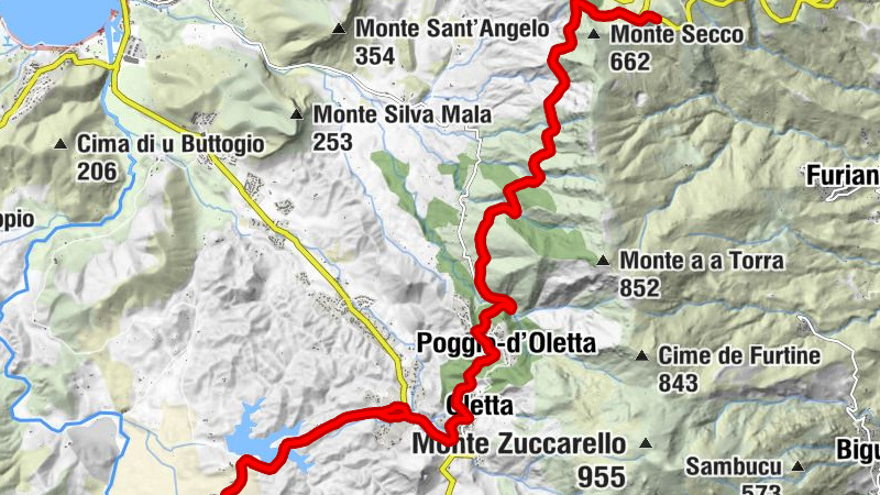 Oletta - Poggio-d'Oletta - Olivacce