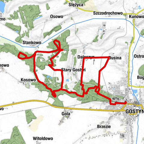 Gostyń - Dusina - Daleszyn