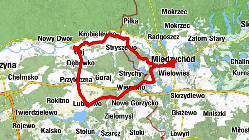 Kościół pw. Męczeństwa św. Jana Chrzciciela - Kościół filialny pw. Św. Mikołaja - Kościół pw. Niepokalanego Serca Maryi - Międzychód