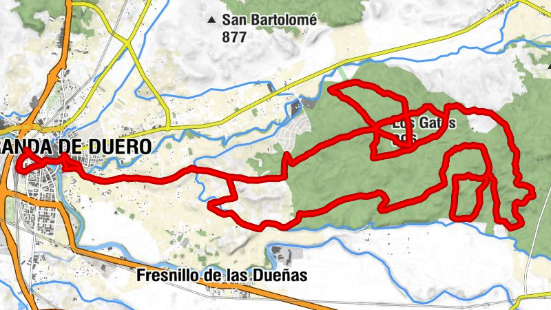 Aranda de Duero - El Mirón - Calabaza - Los Gatos
