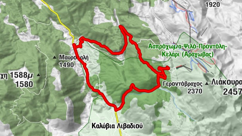 Κοινότητα Αραχώβης - Μιχάλης Δέφνερ