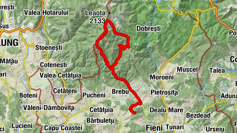 Runcu - Cabana Leaota - Curmătura Tâncavei