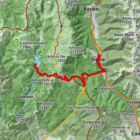 Sinaia - Troiţa „Badea Cârţan” - Cuibul Dorului - Șaua Dichiu