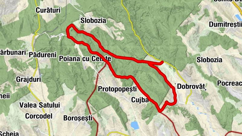 Dobrovăț - D Călina