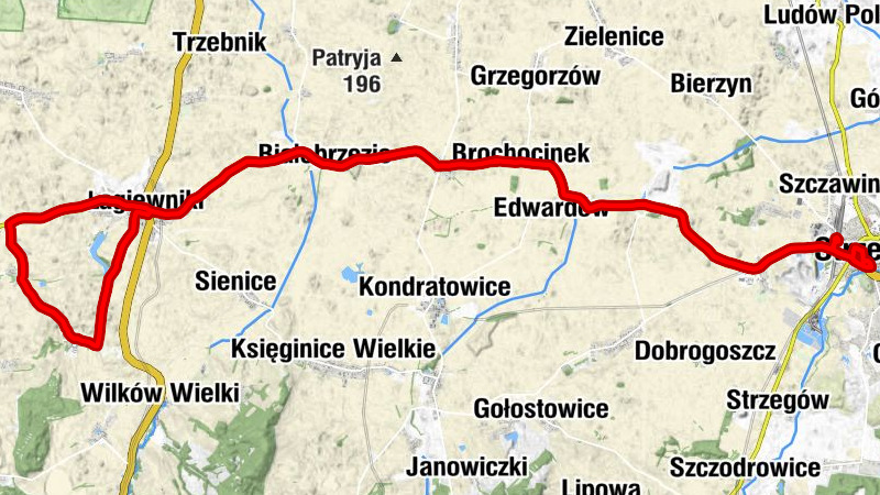 Strzelin - Najświętszej Maryi Panny - Kościół pw. Matki Boskiej Częstochowskiej - Kościół pw. Podwyższenia Krzyża Świętego w Strzelinie