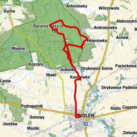 Zwoleń - Kopciucha - Barania Góra - Rozmaryn