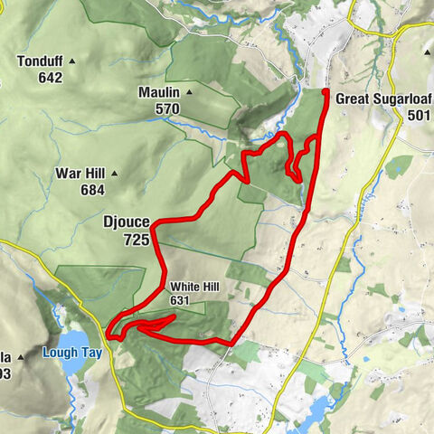 Glasnamullen - White Hill - Djouce - Deerpark