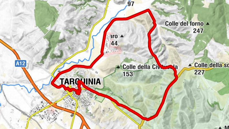Tarquinia - Chiesa di San Francesco - Chiesa del Suffragio - Chiesa della Presentazione