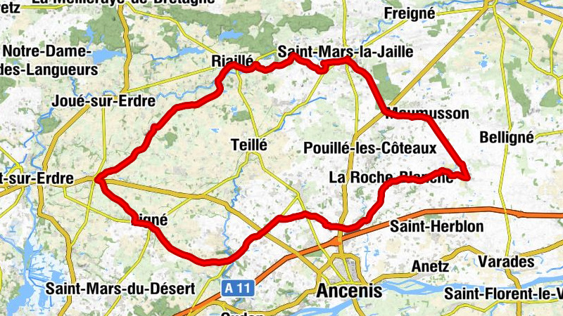 Saint-Mars-la-Jaille - Église Saint-Pierre - Église Notre-Dame-de-l'Assomption