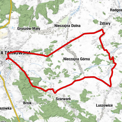 Powiśle - Dąbrowa Tarnowska - Kościół pw. Siedmiu Boleści Najświętszej Maryi Panny w Nieczajnie Górnej - Kościół pw. Wszystkich Świętych