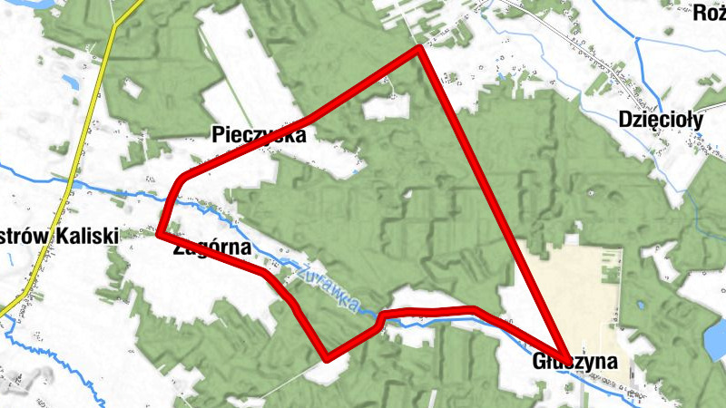 Głuszyna - Kałuża - powiat kaliski