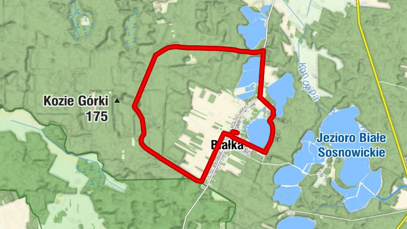 Białka
