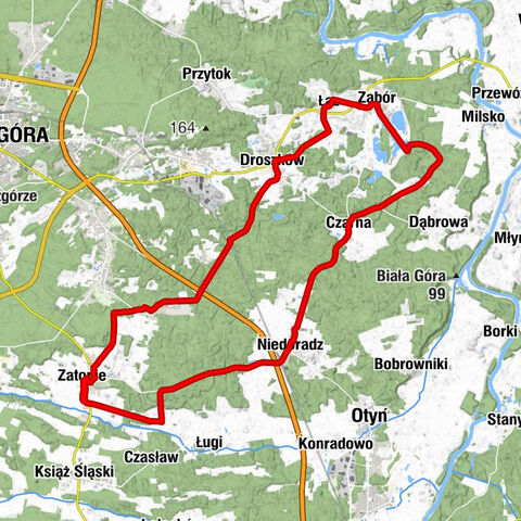 Zatonie - Kościół św. Józefa - Kościół pw. NMP Królowej Polski, - Kościół pw. Świętego Marcina