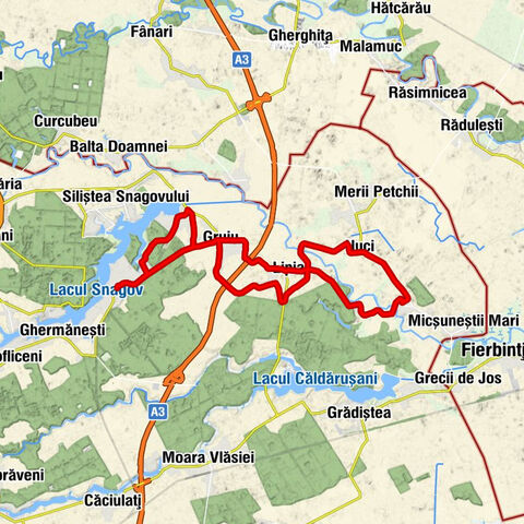 Snagov - Șanțu Florești - Gruiu - Balta Neagră