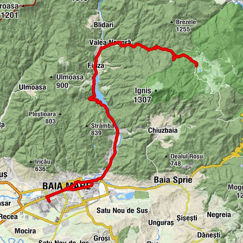 Baia Mare - Biserica Sfânta Elisabeta - Biserica Ortodoxă Ferneziu - Biserica Penticostală Ferneziu