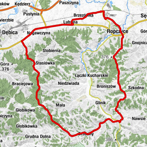 Ropczyce - Sanktuarium NMP Królowej Rodzin - Kościół św. Mikołaja w Lubzinie