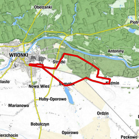 Wronki - Stróżki - Koźmin