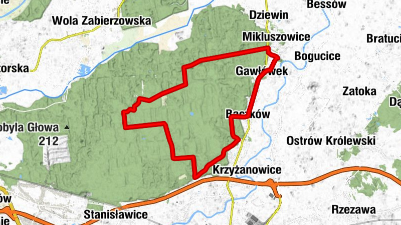 Bajoro - Kaplica domowa - Poszyna - Kościół św. Jana Chrzciciela w Mikluszowicach