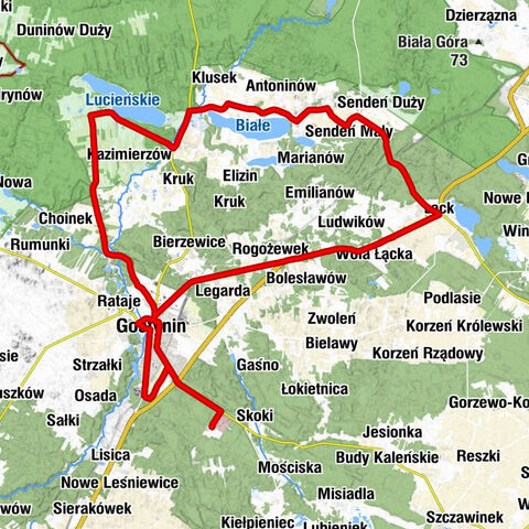 Zalesie - Gostynin - Kościół parafialny pw. Matki Bożej Różańcowej - Kościół filialny pw. Matki Bożej Częstochowskiej
