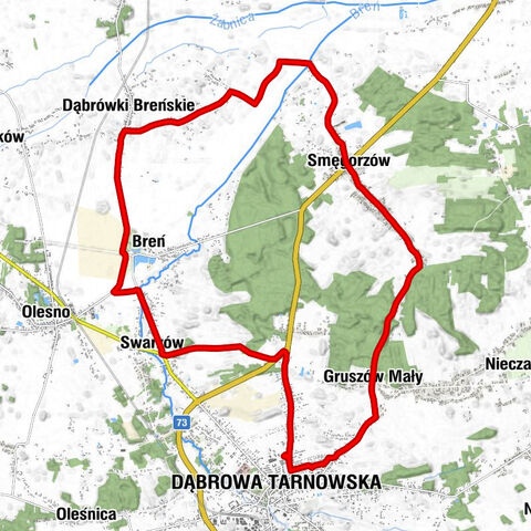 Dąbrowa Tarnowska - Gruszów Mały - Kościół św. Stanisława Biskupa i Męczennika w Smęgorzowie - Kościół Przemienienia Pańskiego w Dąbrówkach Breńskich