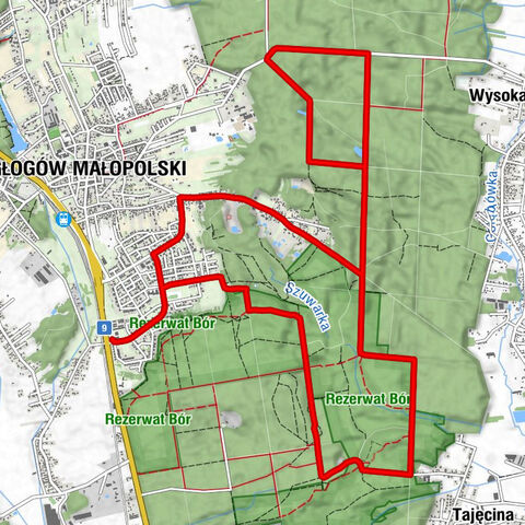 Głogów Małopolski - Osiedle Niwa - Borsuk