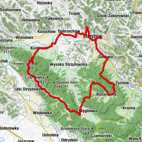 Strzyżów nad Wisłokiem - Strzyżów - Kaplica - Kościół pw. św. Teresy