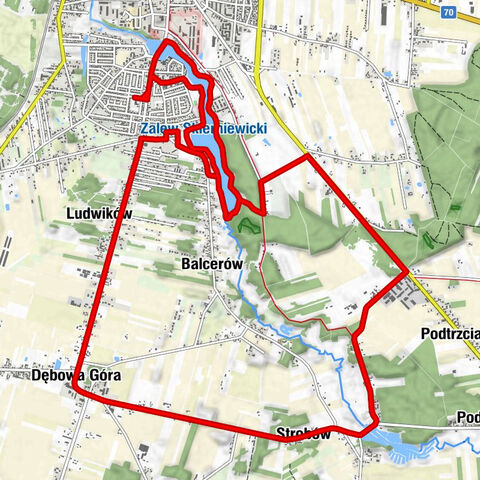 Kościół pw. Miłosierdzia Bożego - Zadębie - Skierniewice - Galeon