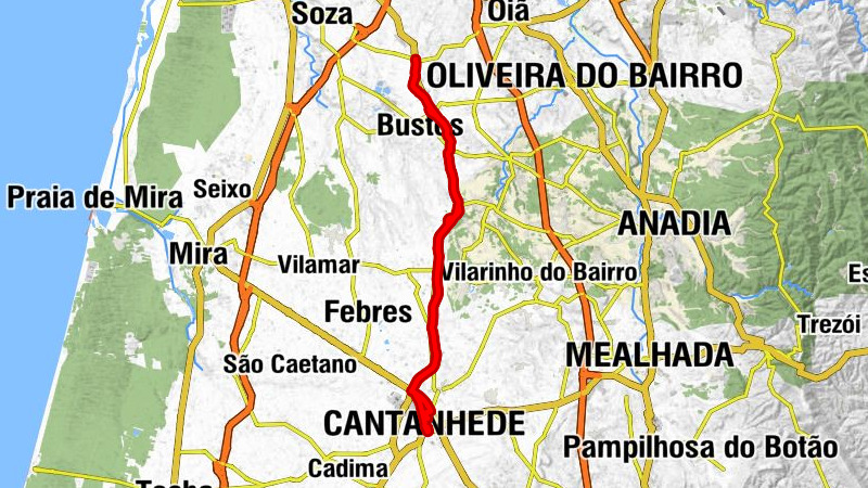 Palhaça - Galo e Touro 2 - Igreja de São Pedro - Igreja Matriz de Mamarrosa