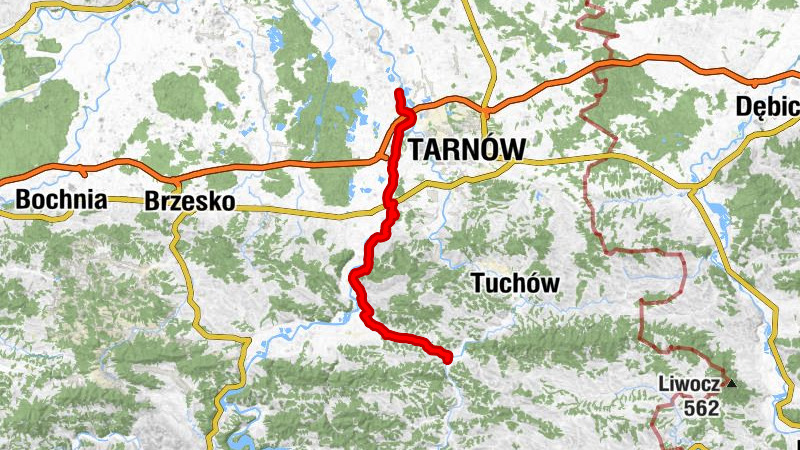 Gromnik - Kościół pw. św. Marcina  w Gromniku - Kościół pw. Najświętszej Maryi Panny Królowej - Kościół pw. Ofiarowania w świątyni i Wniebowstąpienia Pana Jezusa w Siemiechowie