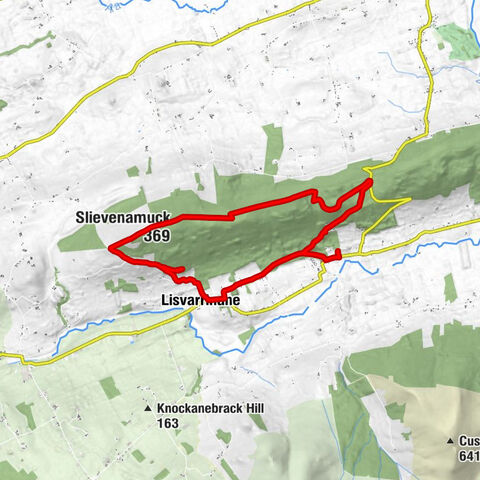 Tree Top Restaurant - Ballinacourty restaurant - Lisvarrinane - Slievenamuck
