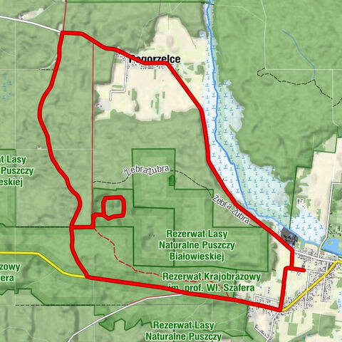 Pogorzelce - Krzyże - Białowieża