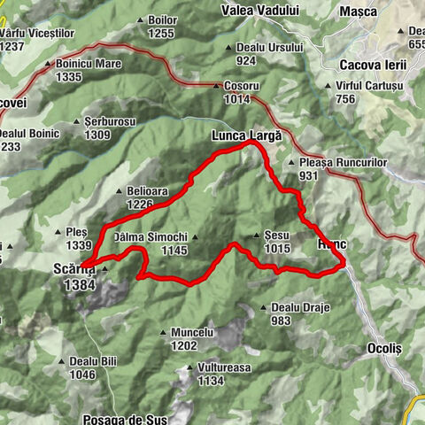 Runc - Lunca Largă