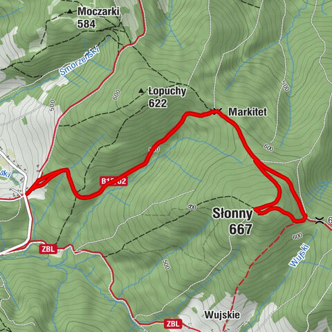 Sanok - Markitet - Słonny