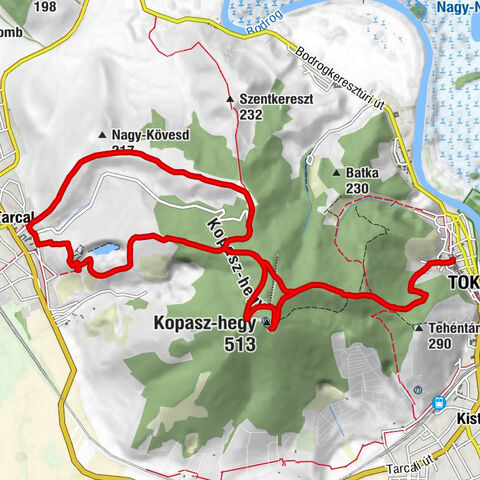 Tokaj - Jézus Szíve templom - Tokaji-hegy - Kopasz-hegy